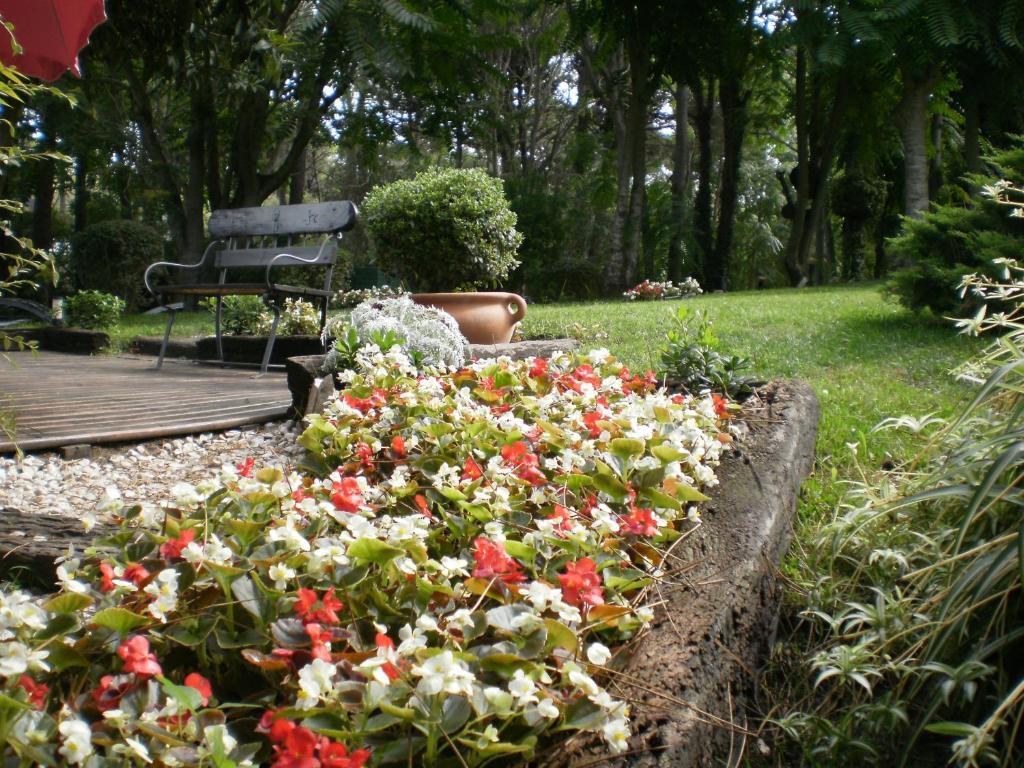 Posada Del Bosque By Hs การีโล ภายนอก รูปภาพ